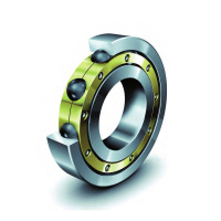 bearing162250U