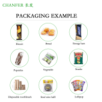 Pillow-Packing-Machine