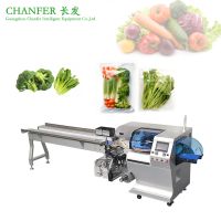 Pillow-Packing-Machine-1