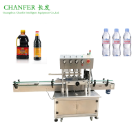 LinearRubbingTypeAutomaticCappingMachine2