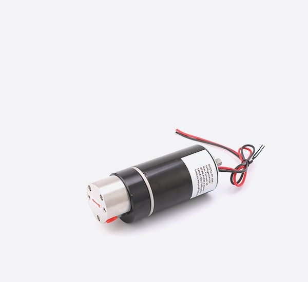 MPD030 Motor Direct drive Gear Pump-DONGGUAN SANSHENGELECTRICAL ...