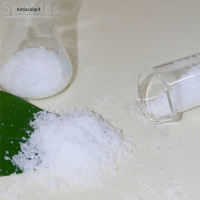 阻垢剂H__2025-07-09-09_41_15