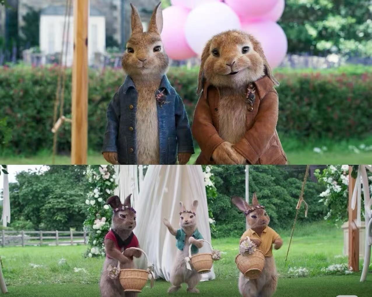 彼得兔系列-微信图片_20250826105405_69
