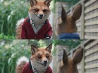 彼得兔系列-微信图片_20250826105405_68