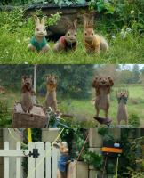 彼得兔系列-微信图片_20250826105405_71