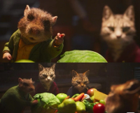 彼得兔系列-微信图片_20250826105405_65