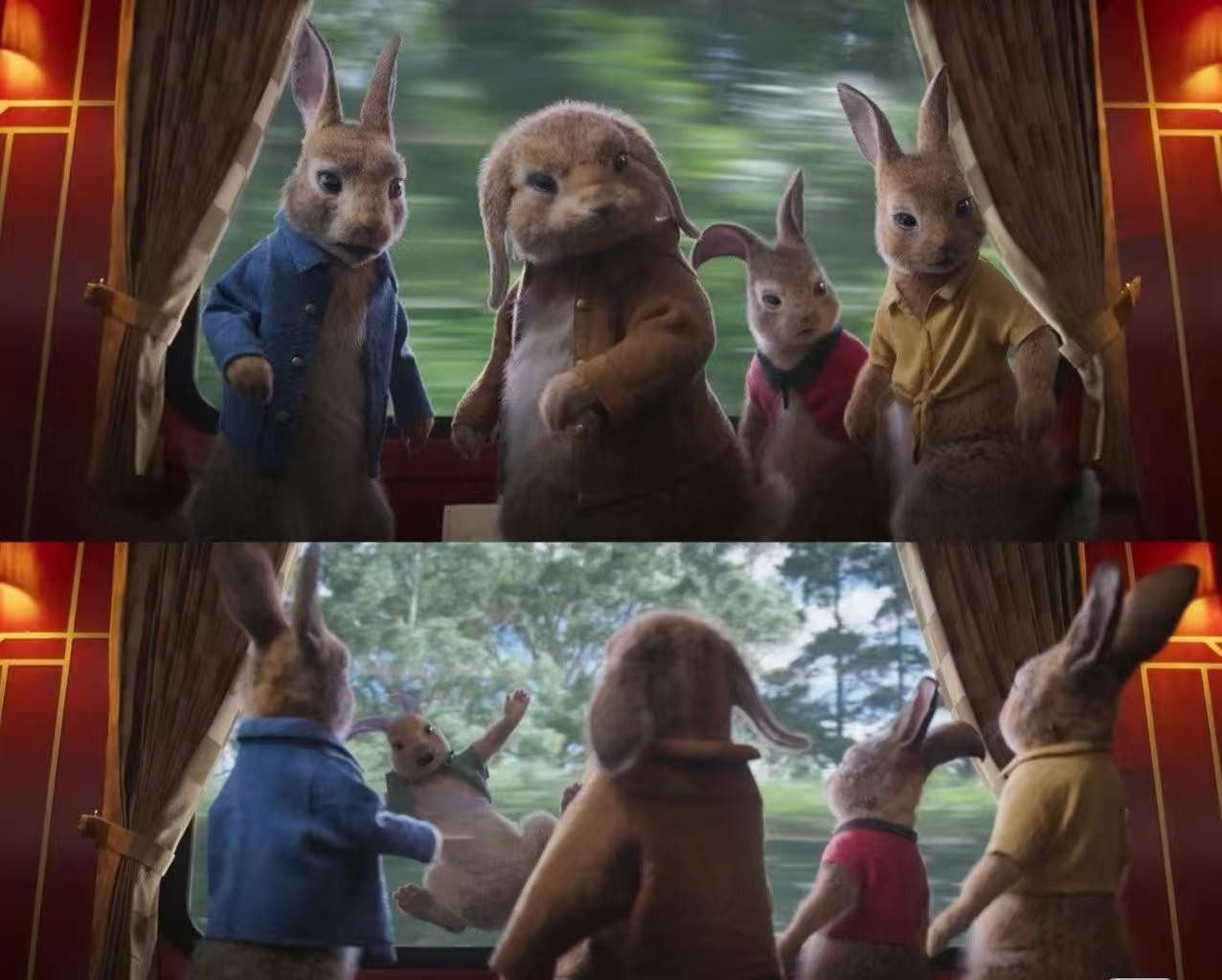 彼得兔系列-微信图片_20250826105405_66