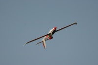 Swift2100_flightphoto_withEDF-6