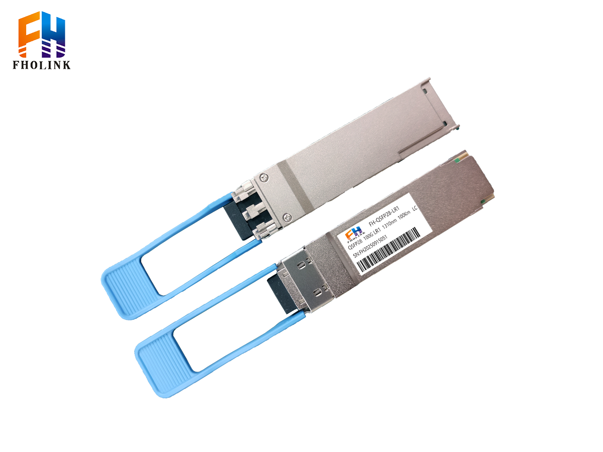 100GLR1一正一反
