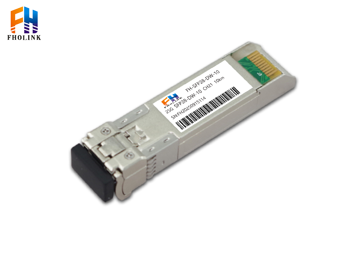 FH-SFP28-DW-10