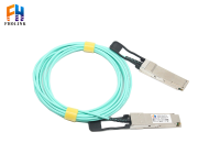 100G转100GAOC